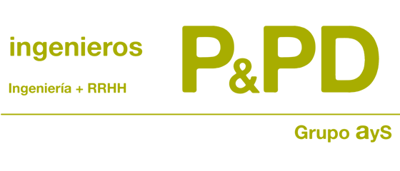 P&PD Ingenieros